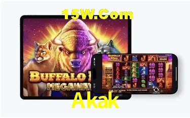 Bonus Features Akak
